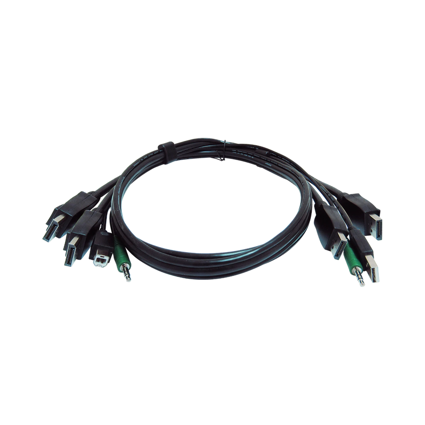 Black Box 6ft Secure KVM Cable with Dual DisplayPort/USB/Audio — Being Shipped
