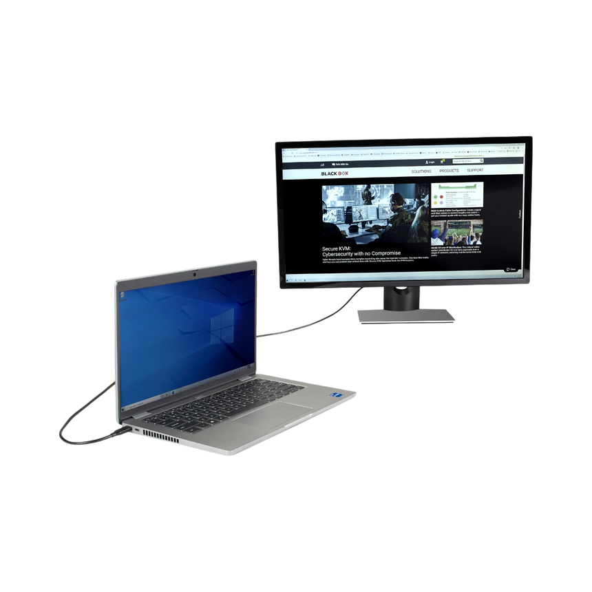 Black Box 6ft USB-C to DisplayPort 4K60 Adapter Cable (Black) — Being Shipped