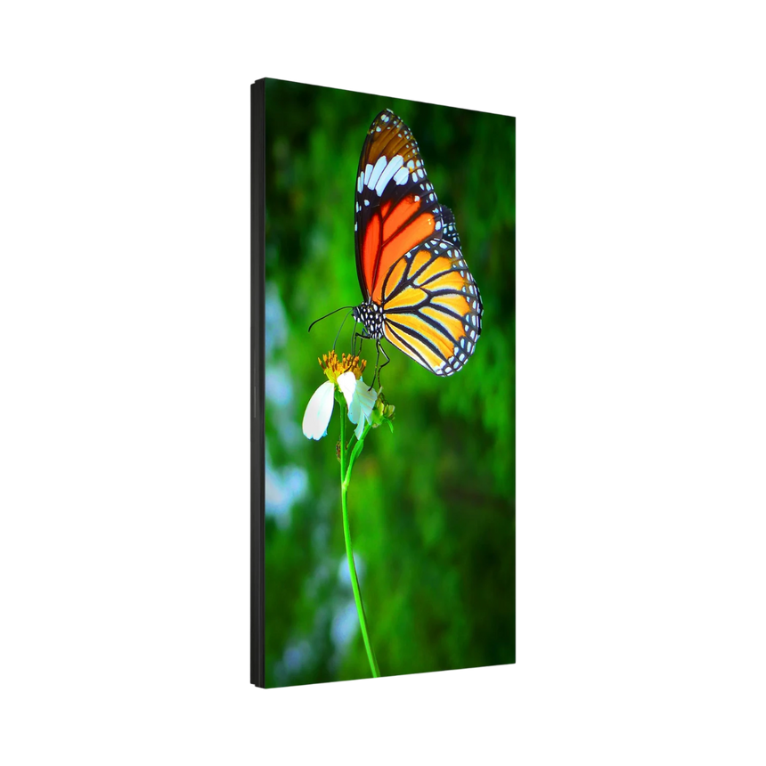NEC 55" LED Ultra-Narrow Bezel 2x2 Video Wall Bundle — Being Shipped
