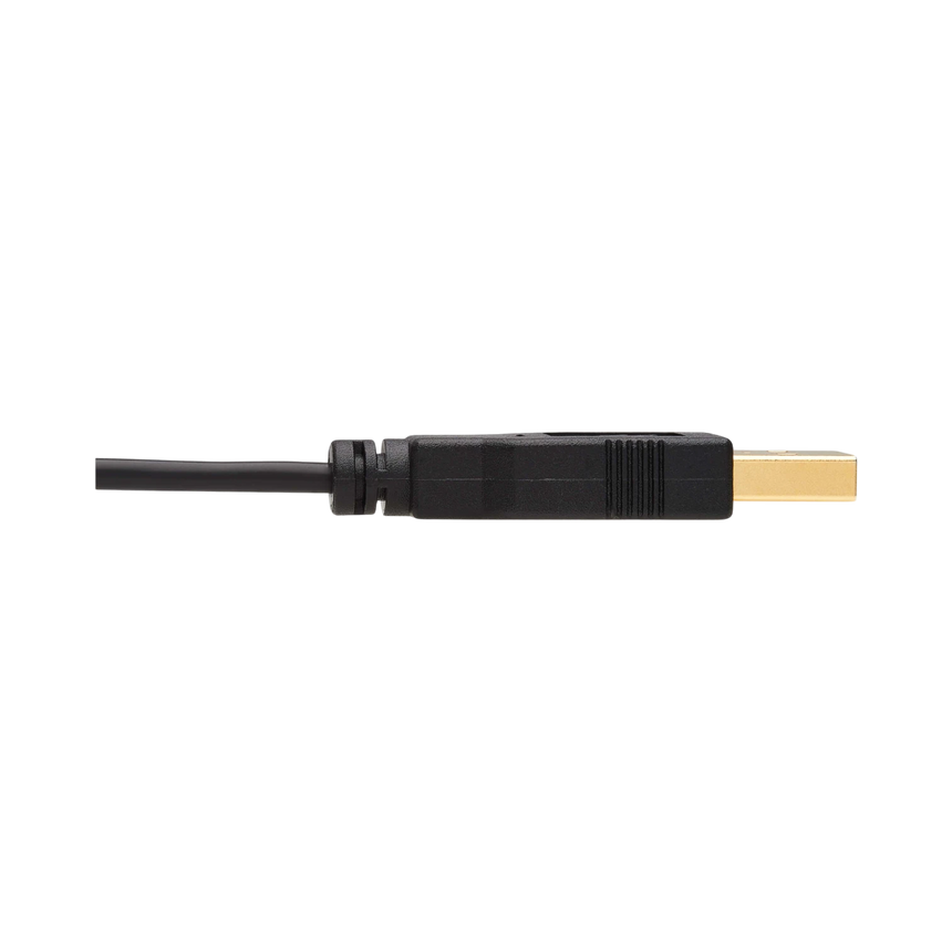 Tripp Lite HDMI to DisplayPort Active Adapter Cable (M/M) 4K, USB Power, Black, 1 m (3.3 ft.) — Being Shipped