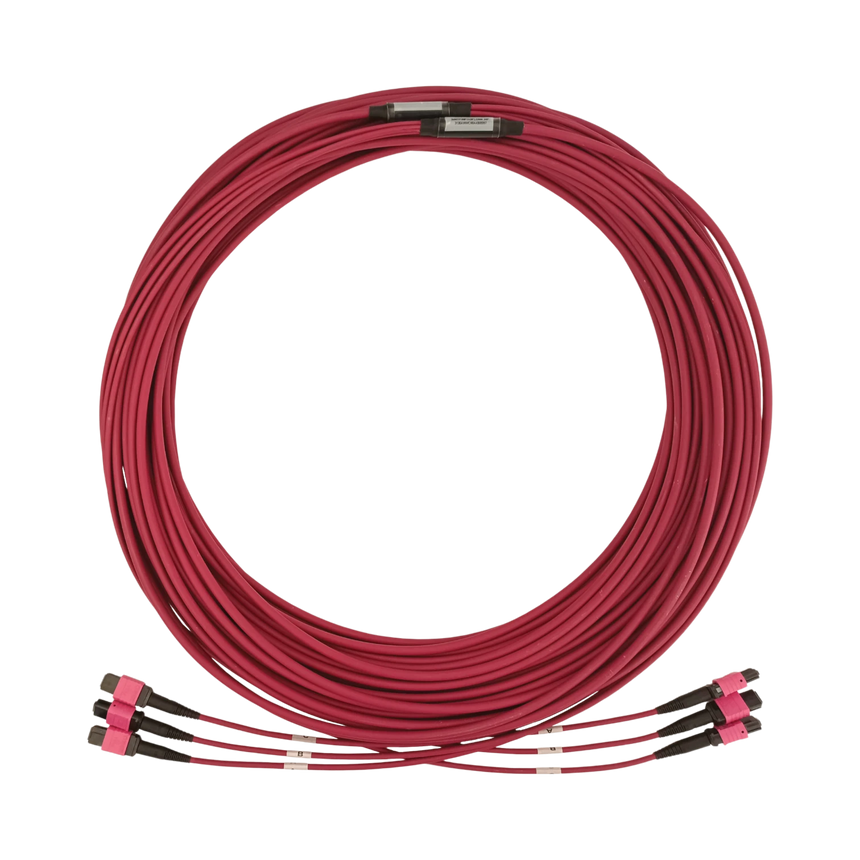 Tripp Lite 40/100/400G Multimode 50/125 OM4 Fiber Optic Cable (3x8F MTP/MPO-PC F/F), LSZH, Magenta, 30 m (98.4 ft.) — Being Shipped
