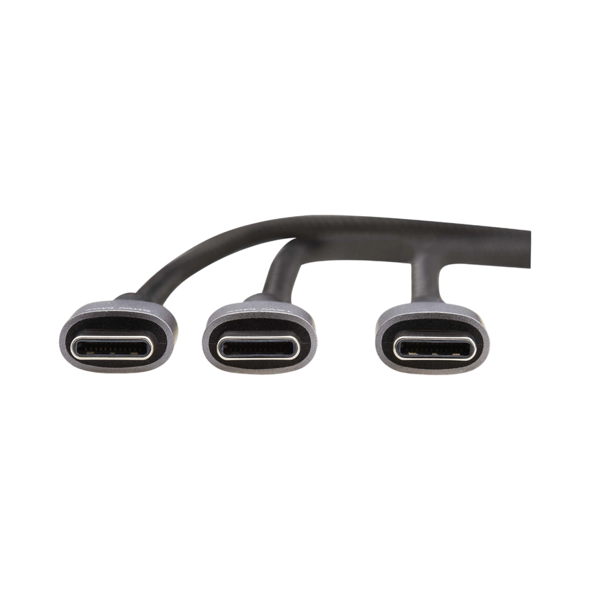 Tripp Lite 100W 6ft USB-C 2-in-1 Charging Cable — Being Shipped