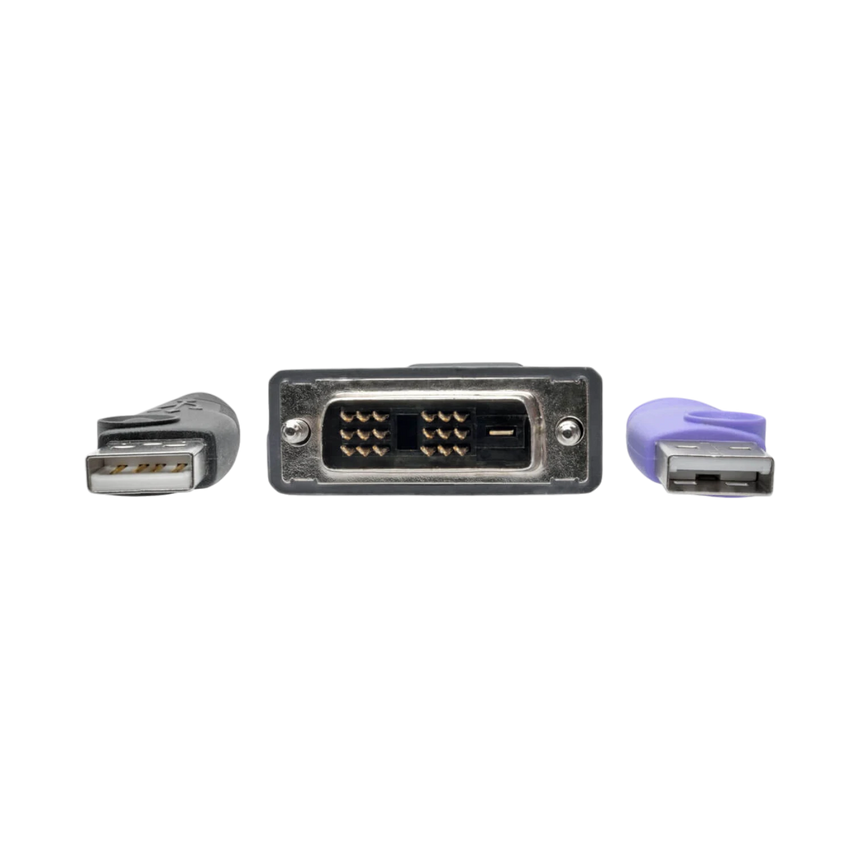 Tripp Lite NetDirector DVI USB Server Interface Unit with Virtual Media and CAC Support (B064-IPG Series), USB and DVI, TAA — Being Shipped