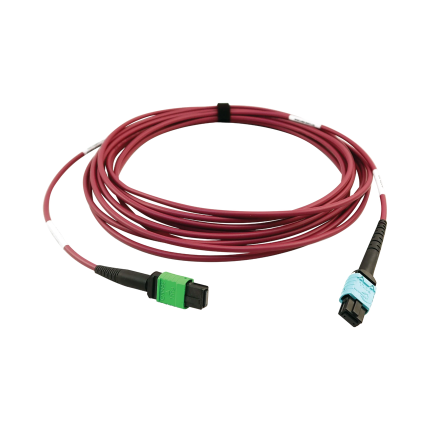 Tripp Lite 400G Multimode 50/125 OM4 Plenum Fiber Optic Cable, 16F MTP/MPO-APC to 24F MTP/MPO-UPC (F/F), Magenta, 5 m — Being Shipped