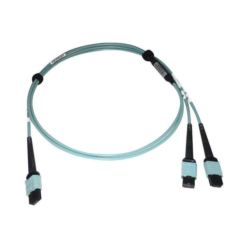 Tripp Lite 400G Multimode 50/125 OM4 Plenum Fiber Optic Cable, 24F MTP/MPO-PC to (x2) 12F MTP/MPO-PC (F/F), Aqua, 1 m — Being Shipped