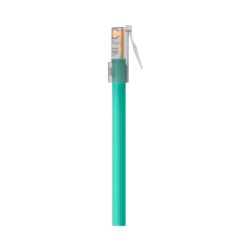 Belkin High Performance CAT6 Ethernet Patch Cable (Green) — Being Shipped
