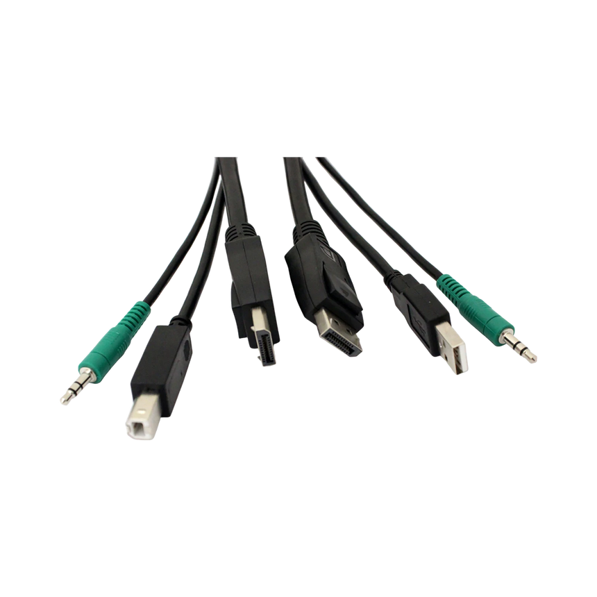 Black Box 10ft Secure KVM Cable with DisplayPort, USB, Audio — Being Shipped