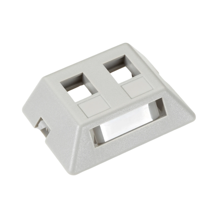 Black Box Modular 2-Port Furniture Wallplate (Gray) — Being Shipped