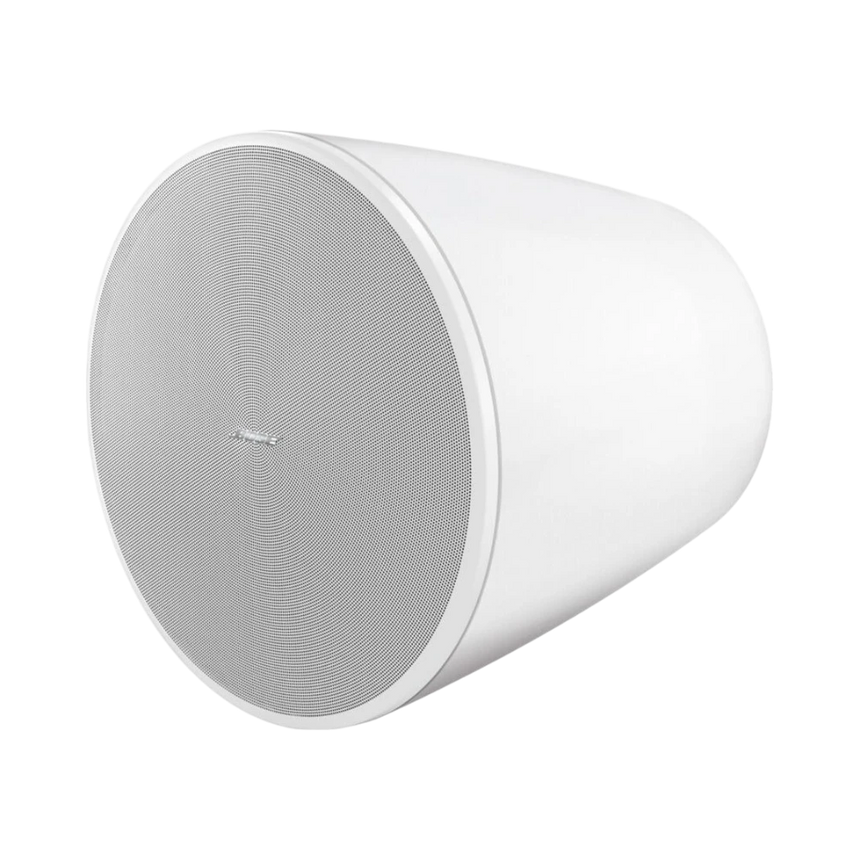 Bose Professional DesignMax DM10P-SUB Pendant Subwoofer — Being Shipped