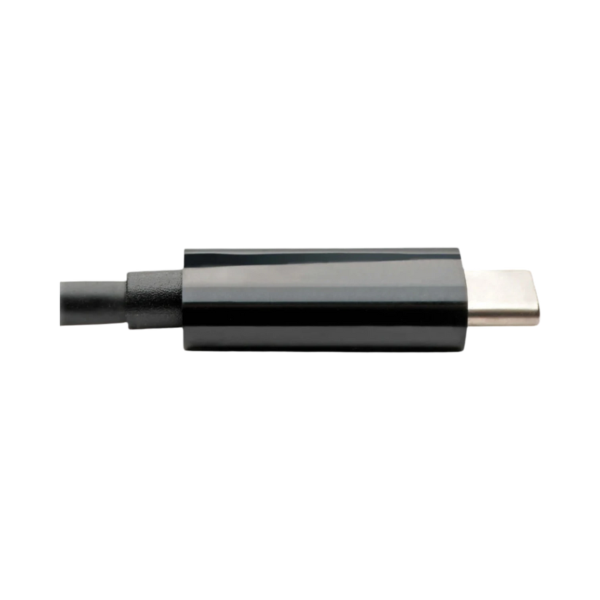 Tripp Lite USB-C to DVI Adapter Converter — Being Shipped