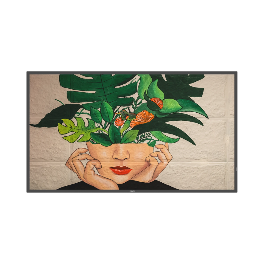 Philips D-Line TAA 50" 4K Ultra HD LED-LCD Display — Being Shipped