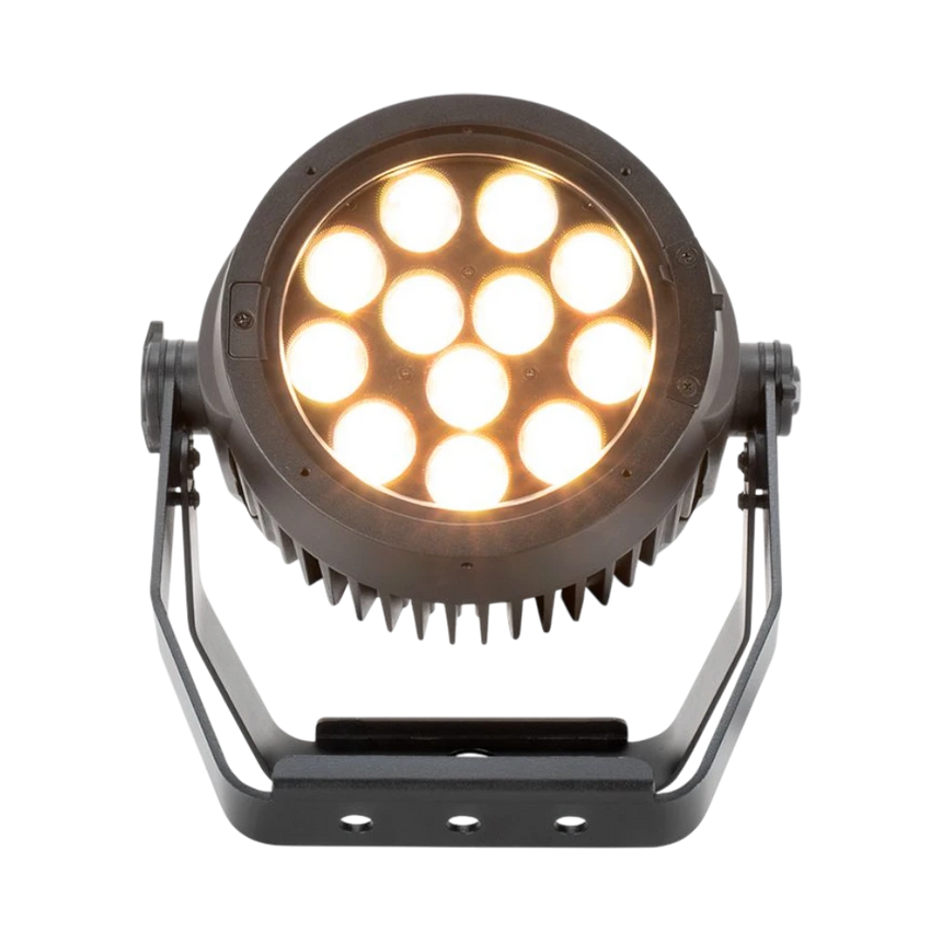 ADJ Encore LP12IP RGBL LED Par Fixture Light — Being Shipped