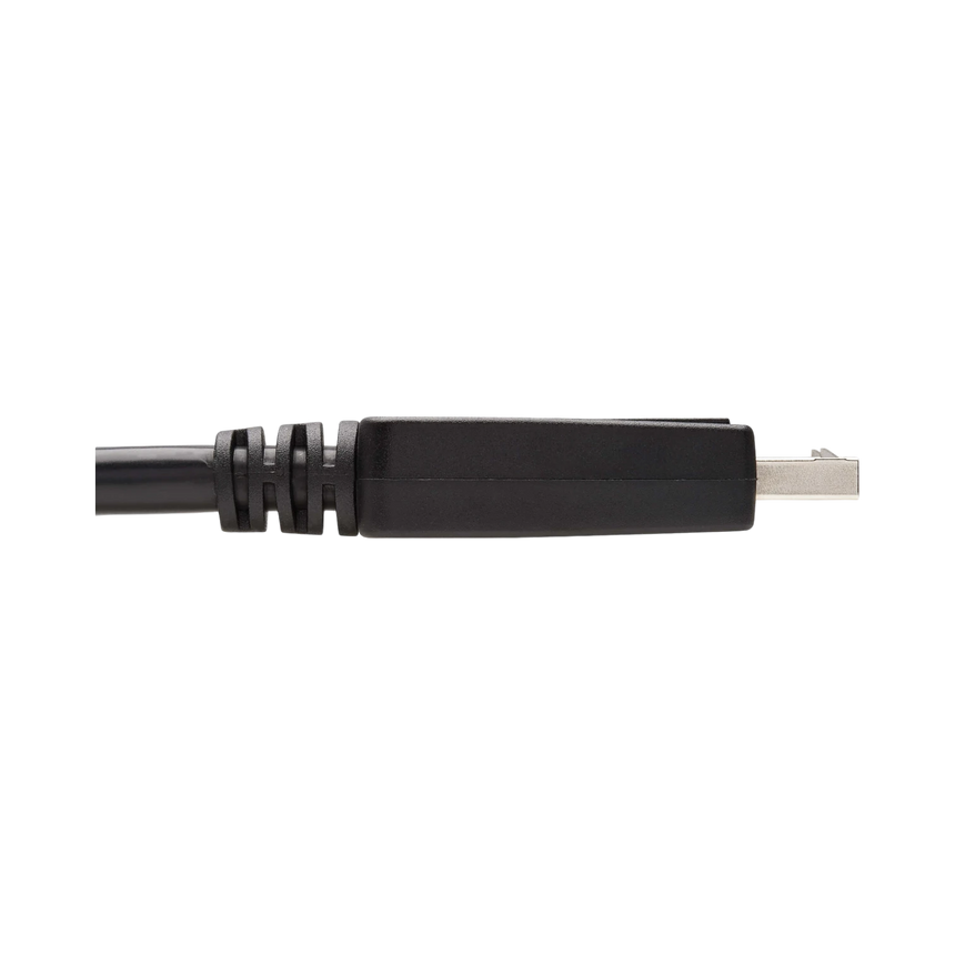 Tripp Lite DisplayPort to DVI Adapter Cable (DP with Latches to DVI-D Single Link M/M), 6 ft. (1.8 m) — Being Shipped