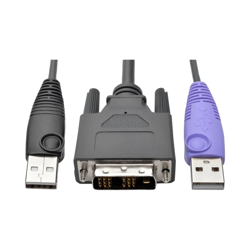 Tripp Lite NetDirector DVI USB Server Interface Unit with Virtual Media and CAC Support (B064-IPG Series), USB and DVI, TAA — Being Shipped