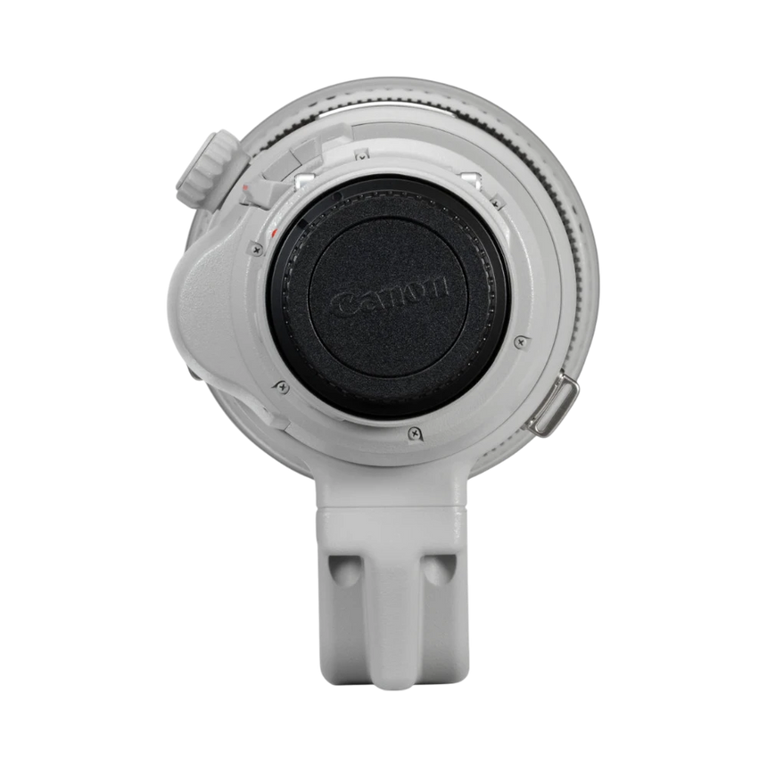 Canon EF 200-400mm f/4L IS USM Extender 1.4x Lens (Canon EF) — Being Shipped