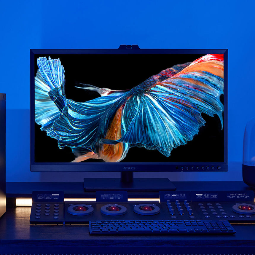 ASUS ProArt Display OLED PA32DC 31.5" 16:9 60Hz 4K HDR Monitor — Being Shipped