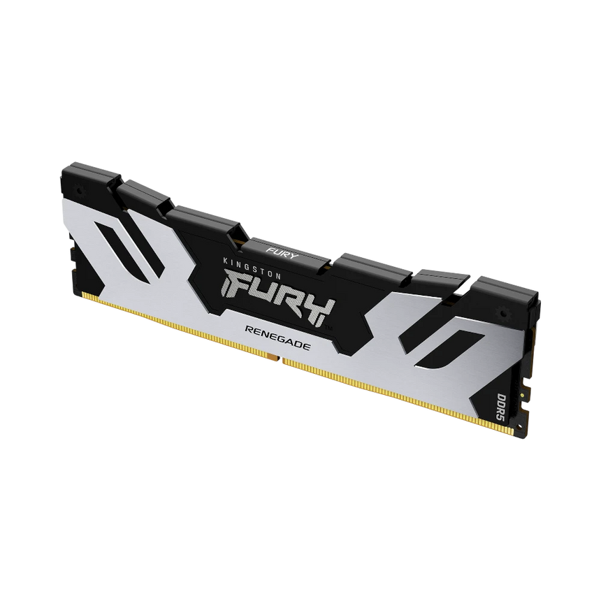 Kingston FURY Renegade Silver/Black XMP 16GB DDR5 6400MT/s CL32 Memory Module — Being Shipped