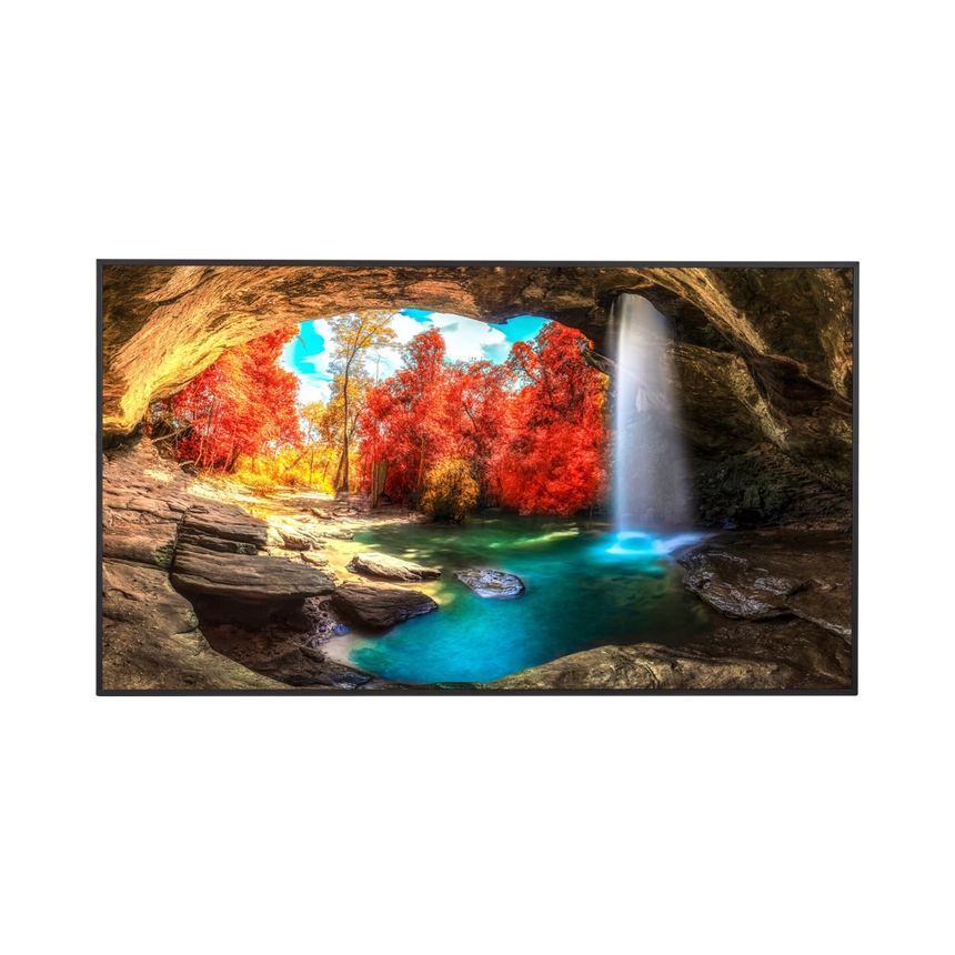 Sharp PN-ME652 65" 16:9 60Hz 4K UHD HDR IPS Commercial Monitor — Being Shipped