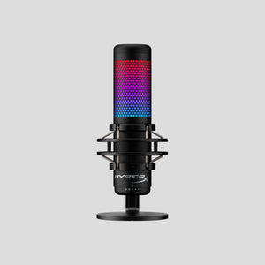 Computer Microphones