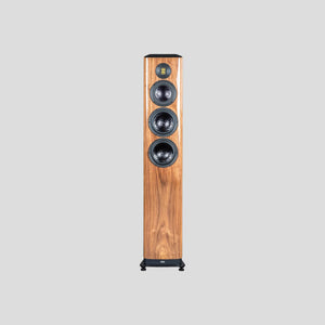 Floorstanding Speakers