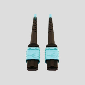 Fiber Optic Trunk Cables
