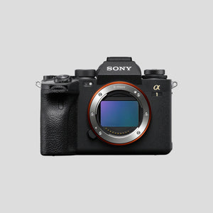 Mirrorless Cameras