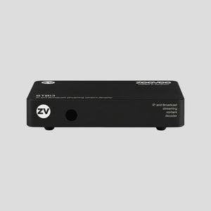 Video IP Converters