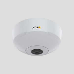 Panoramic Security Cameras