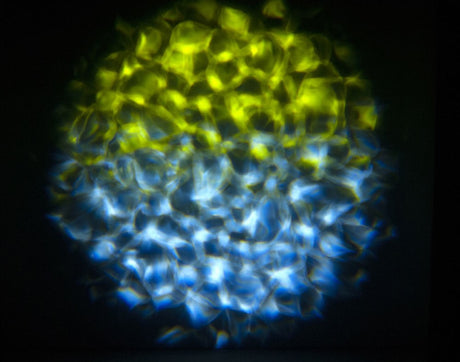 ADJ Eliminator Lighting Aqua LED 2 Multicolor Water Effect — Being Shipped