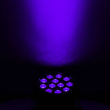 ADJ Mini Par UV LED Black Light Fixture — Being Shipped