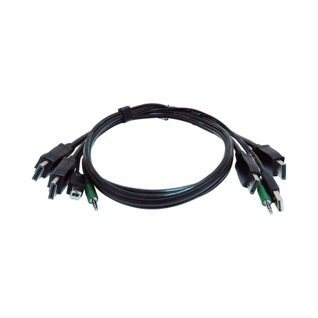 Black Box 6ft Secure KVM Cable with Dual DisplayPort/USB/Audio — Being Shipped