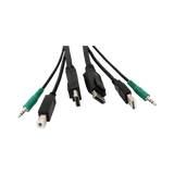 Black Box 6ft Secure KVM Cable with Dual DisplayPort/USB/Audio — Being Shipped