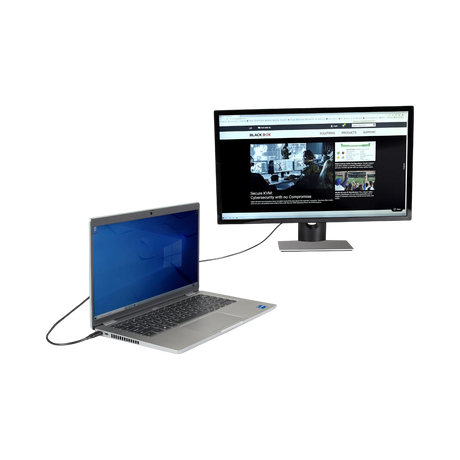 Black Box 6ft USB-C to DisplayPort 4K60 Adapter Cable (Black) — Being Shipped