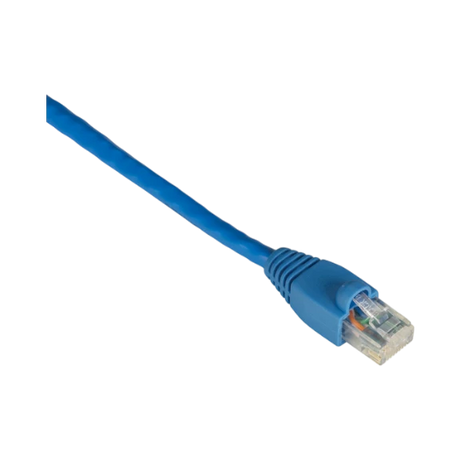 Black Box 100ft GigaTrue CAT6 Snagless Ethernet Cable (Blue) — Being Shipped