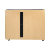 Tripp Lite SmartRack Sound Proof Half-Height Server Rack Enclosure, 18U — Being Shipped