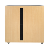 Tripp Lite SmartRack 24U Sound Proof Half-Height Rack Enclosure — Being Shipped