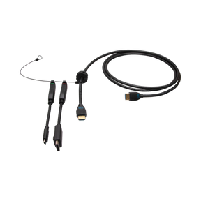 C2G 6ft (1.8m) 4K HDMI Premium Cable and Universal Dongle Adapter Ring with Color Coded DisplayPort and USB-C (without Pull Tab) — Being Shipped