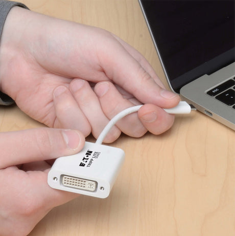 Tripp Lite USB-C to DVI Adapter with Alternate Mode, DP 1.2, White — Being Shipped