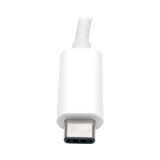 Tripp Lite USB-C to DVI DisplayPort Alternate Mode 1080p Multiport Adapter — Being Shipped