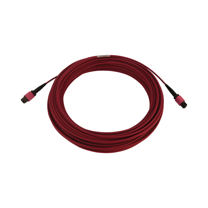 Tripp Lite 100G Multimode 50/125 OM4 Fiber Optic Cable (12F MTP/MPO-PC F/F), LSZH, Magenta, 20 m (65.6 ft.) — Being Shipped
