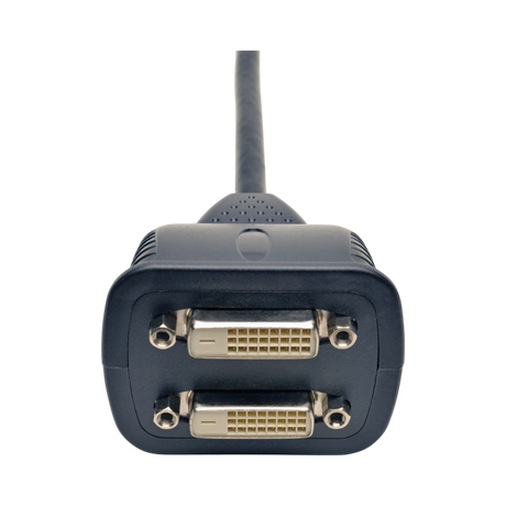 Tripp Lite DVI Y Splitter Cable, Digital Monitors (DVI-D M to 2x F), 1 ft. (0.31 m) — Being Shipped