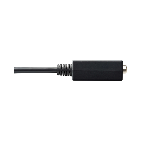 Tripp Lite DisplayPort to VGA Active Adapter Video Converter (M/F), 6-in. (15.24 cm) — Being Shipped