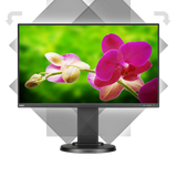 NEC E242N-BK 24" Narrow Bezel IPS Monitor with Speakers and LED Backlighting — Being Shipped