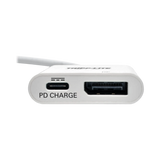 Tripp Lite USB C to DisplayPort Video Adapter Converter — Being Shipped