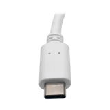 Tripp Lite USB C to DisplayPort Video Adapter Converter — Being Shipped