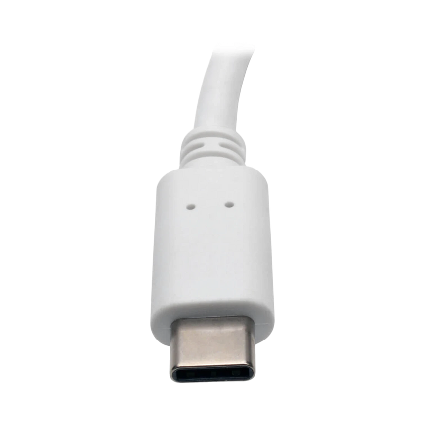 Tripp Lite USB C to DisplayPort Video Adapter Converter — Being Shipped
