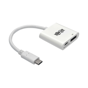 Tripp Lite USB C to DisplayPort Video Adapter Converter — Being Shipped