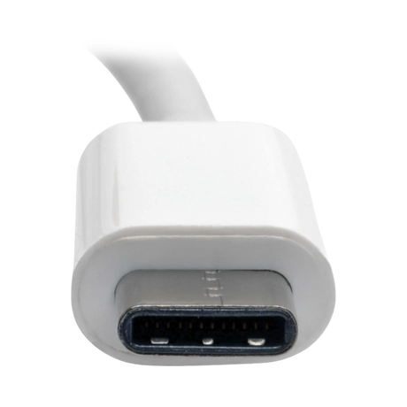 Tripp Lite USB C to HDMI, DVI & VGA Multiport Adapter Converter — Being Shipped
