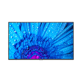 NEC M861 86" 4K UHD Professional Display with Modular Design — Being Shipped