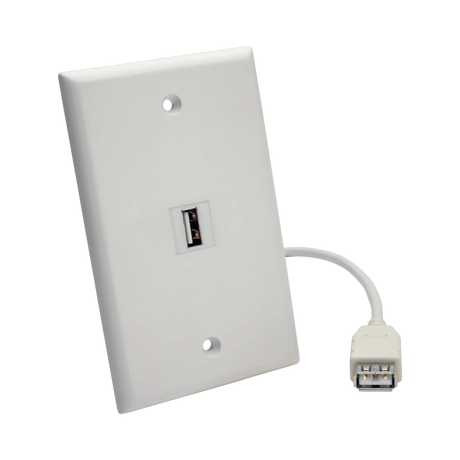 Tripp Lite USB 2.0 All-in-One Keystone/Panel Mount Coupler Cable (F/F), Angled Connector, White, 1 ft. (0.31 m) — Being Shipped